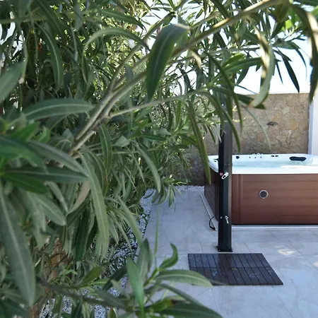 Palmeras
